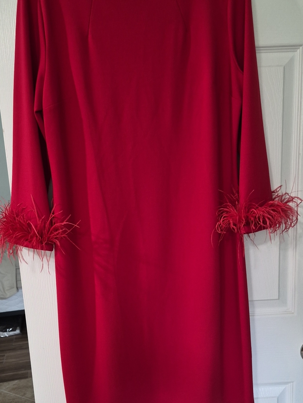 NWT Jude Connally Red Feather-Cuff Shift Dress- Large - Picture 4 of 8